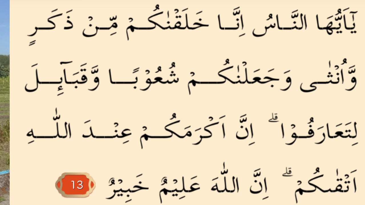 Detail Al Quran Surat Al Hujurat Ayat 12 Nomer 11