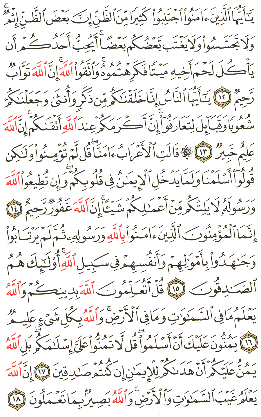 Detail Al Quran Surat Al Hujurat Ayat 12 Nomer 51