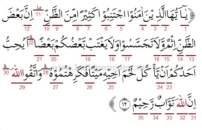 Detail Al Quran Surat Al Hujurat Ayat 12 Nomer 8