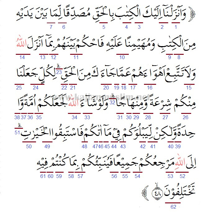 Detail Al Quran Surat Al Maidah Ayat 48 Nomer 23