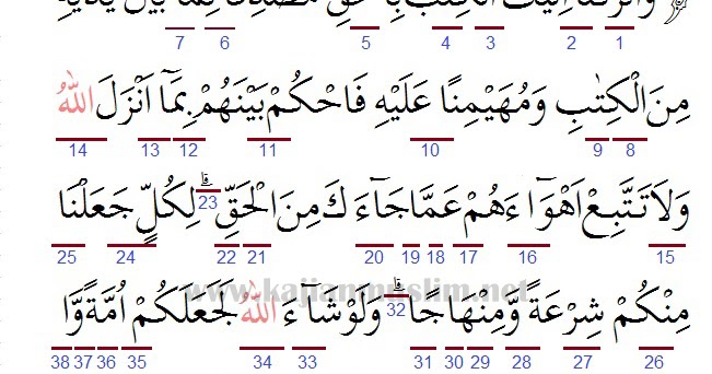 Detail Al Quran Surat Al Maidah Ayat 48 Nomer 29