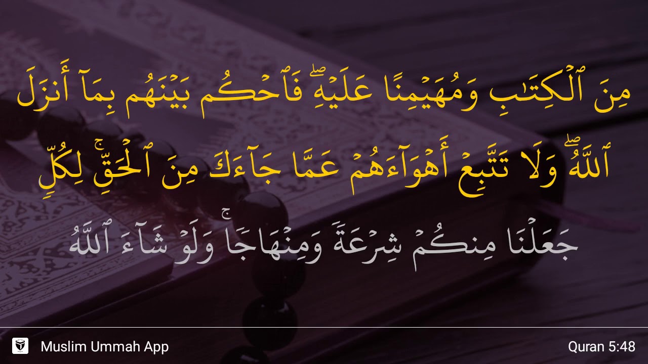 Detail Al Quran Surat Al Maidah Ayat 48 Nomer 37