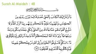 Detail Al Quran Surat Al Maidah Ayat 48 Nomer 6