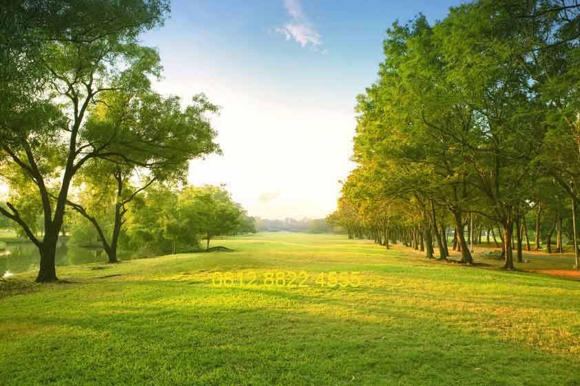 Alam Background Pemandangan - KibrisPDR