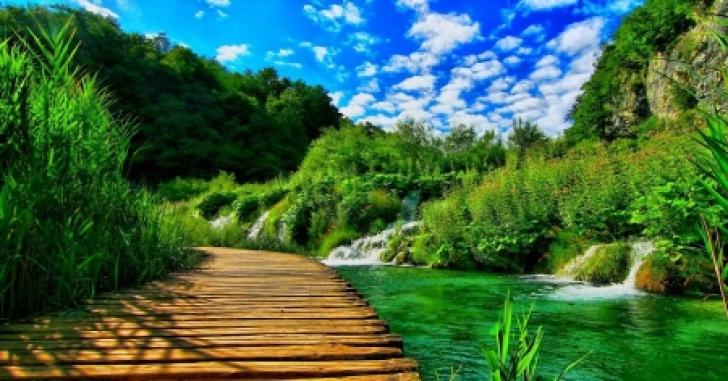 Detail Alam Background Pemandangan Nomer 19