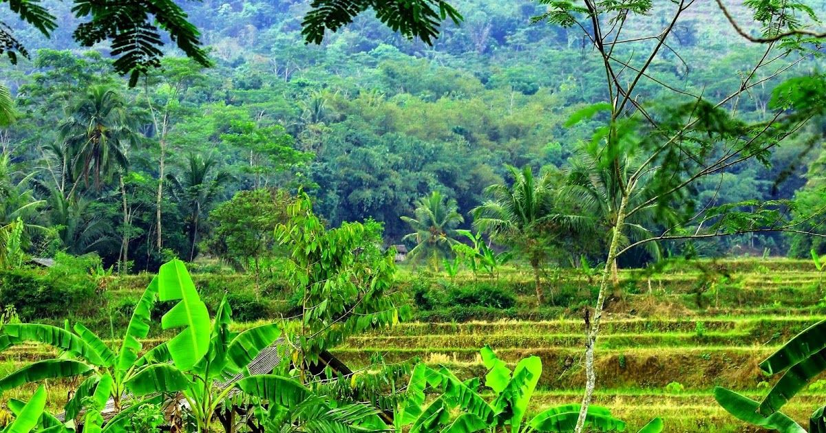 Detail Alam Background Pemandangan Nomer 31
