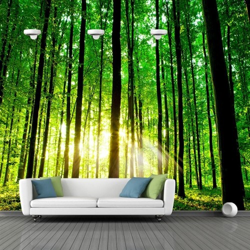 Detail Alam Background Pemandangan Nomer 36