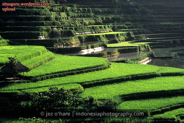 Detail Alam Indonesia Yang Indah Nomer 47