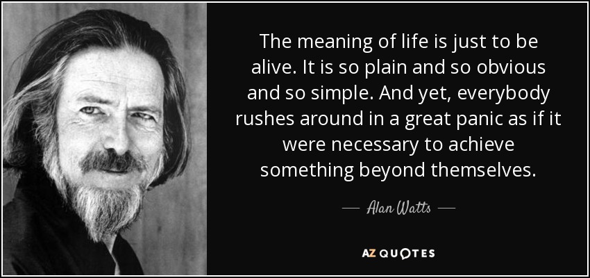 Detail Alan Watts Quotes Nomer 12