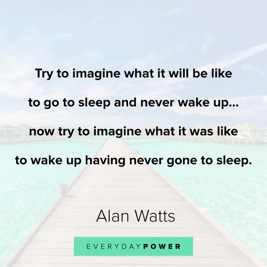 Detail Alan Watts Quotes Nomer 23