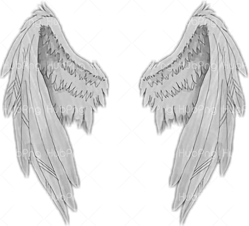 Detail Alas De Angel Png Nomer 15