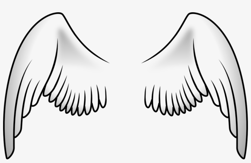 Detail Alas De Angel Png Nomer 24