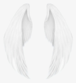 Detail Alas De Angel Png Nomer 4