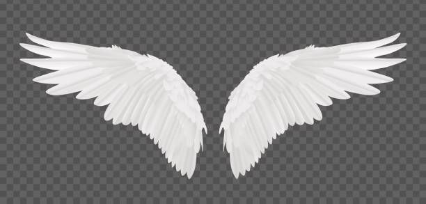 Detail Alas De Angel Png Nomer 10