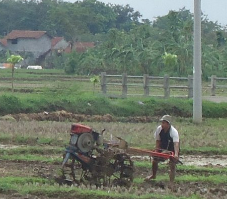 Detail Alat Bajak Sawah Sederhana Nomer 15