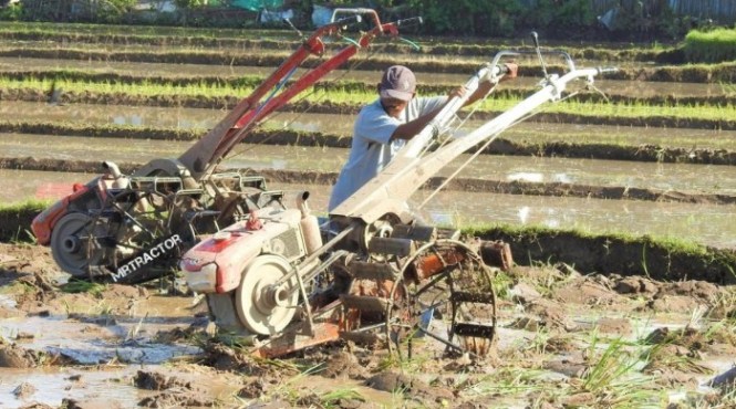 Detail Alat Bajak Sawah Sederhana Nomer 16