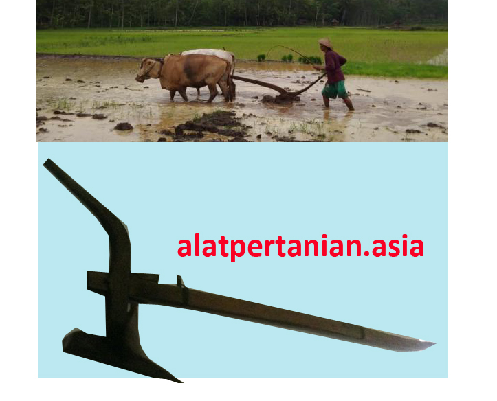 Detail Alat Bajak Sawah Sederhana Nomer 17