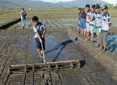 Detail Alat Bajak Sawah Sederhana Nomer 21