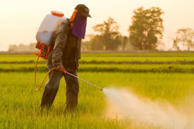Detail Alat Bajak Sawah Sederhana Nomer 24