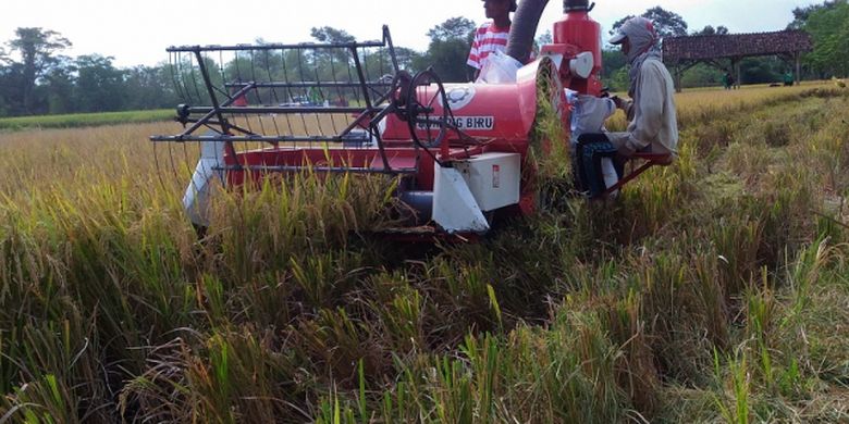 Detail Alat Bajak Sawah Sederhana Nomer 25