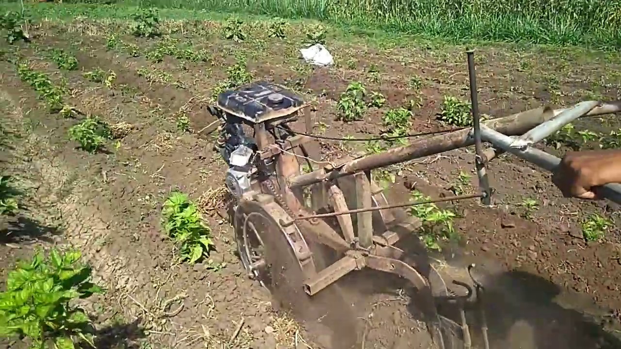 Detail Alat Bajak Sawah Sederhana Nomer 35