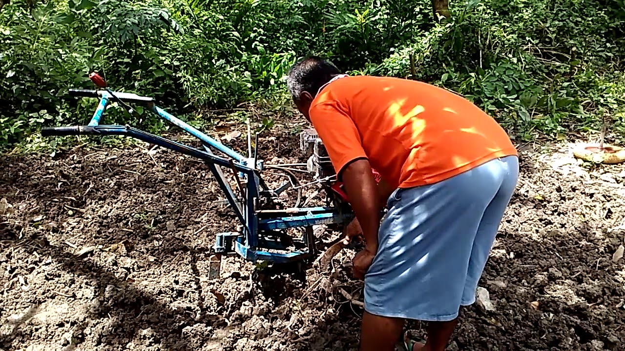 Detail Alat Bajak Sawah Sederhana Nomer 6