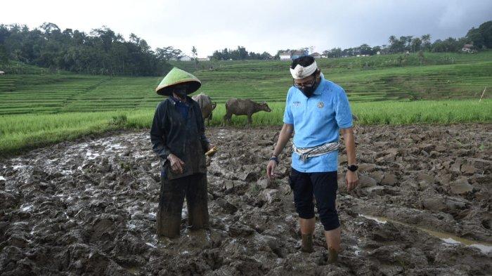 Detail Alat Bajak Sawah Sederhana Nomer 38