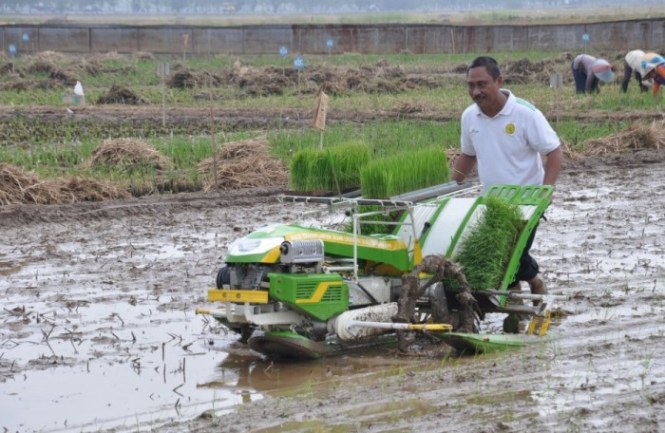 Detail Alat Bajak Sawah Sederhana Nomer 39