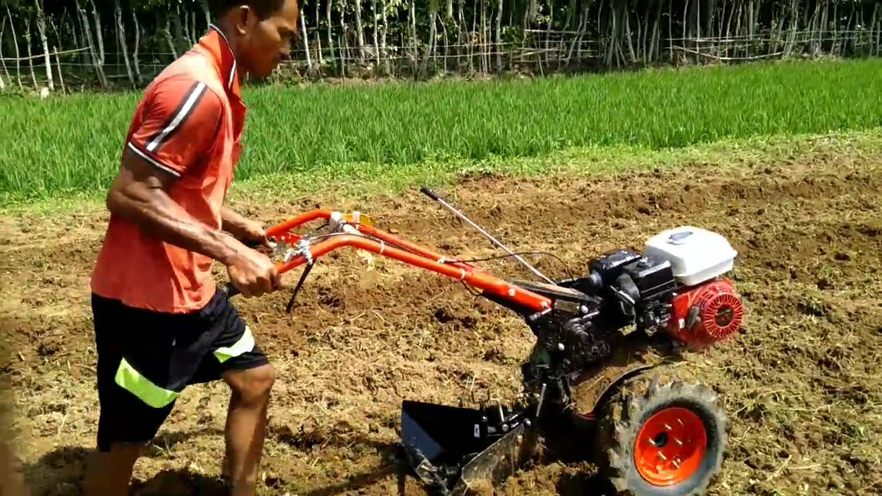 Detail Alat Bajak Sawah Sederhana Nomer 9