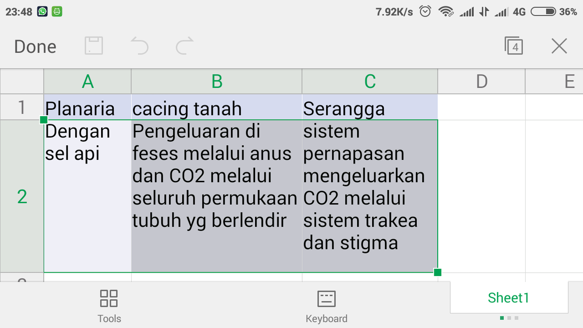 Detail Alat Ekskresi Planaria Nomer 42