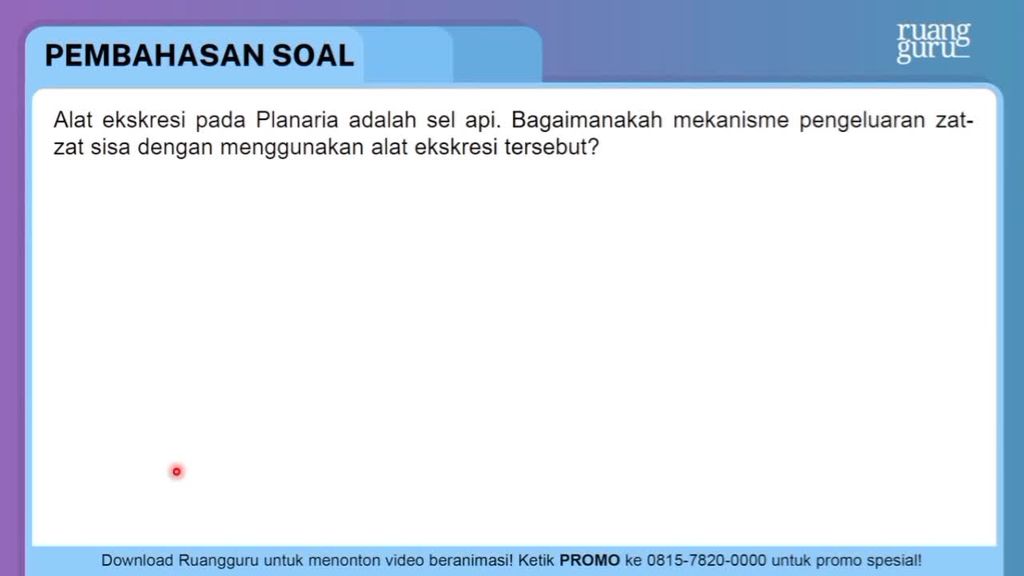 Detail Alat Ekskresi Planaria Nomer 45