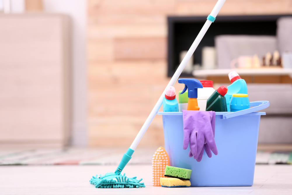 Detail Alat Kebersihan Di Rumah Nomer 6