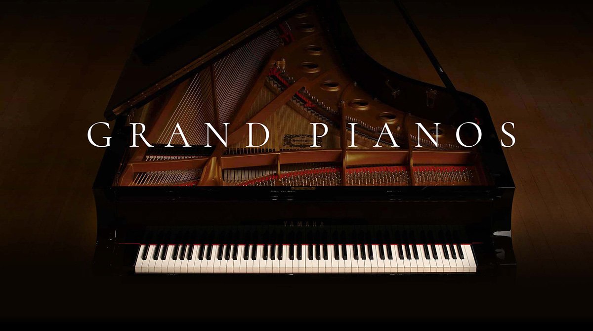 Detail Alat Musik Grand Piano Nomer 20