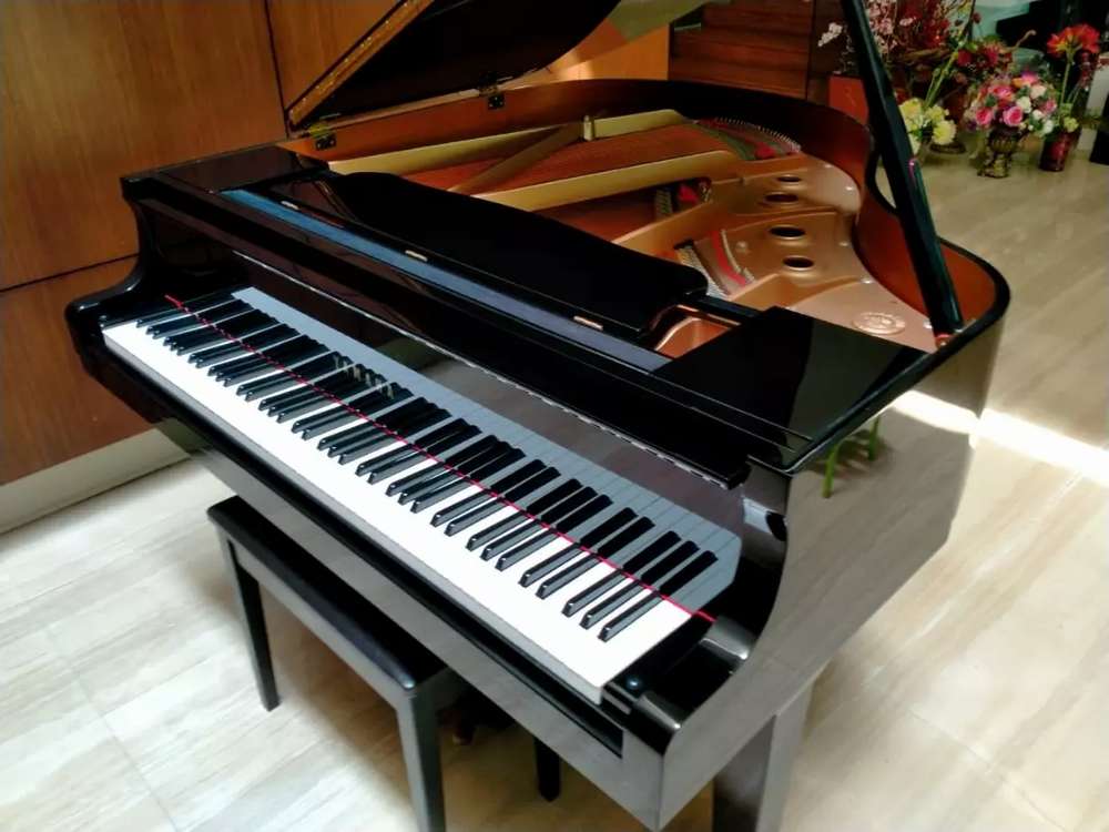 Detail Alat Musik Grand Piano Nomer 29