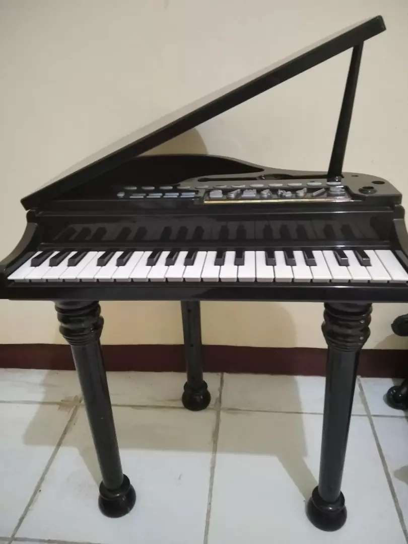 Detail Alat Musik Grand Piano Nomer 55