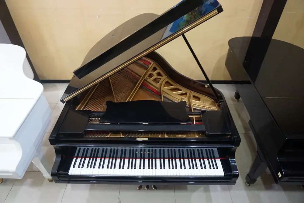 Detail Alat Musik Grand Piano Nomer 56