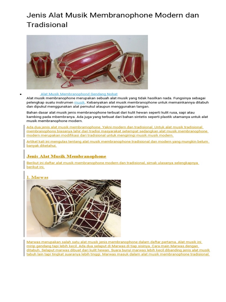 Detail Alat Musik Membranophone Nomer 29