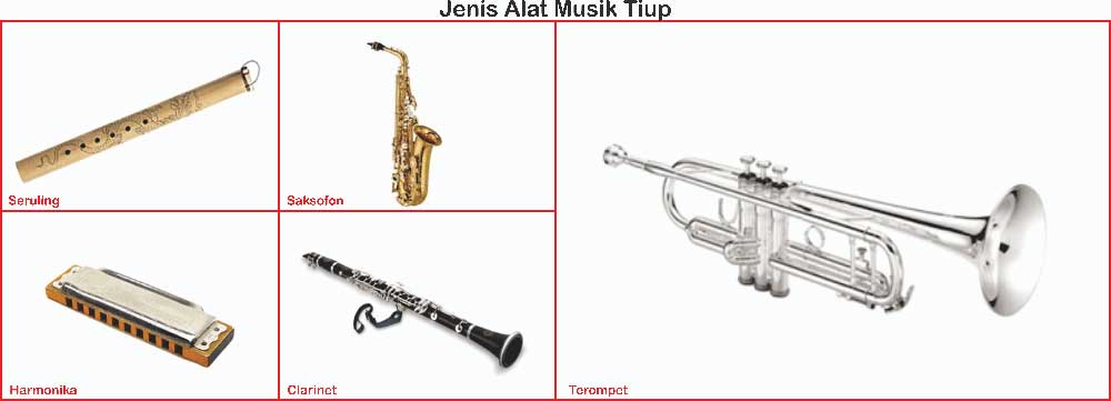 Detail Alat Musik Orkestra Dan Gambarnya Nomer 18