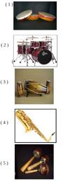 Detail Alat Musik Tonal Nomer 56