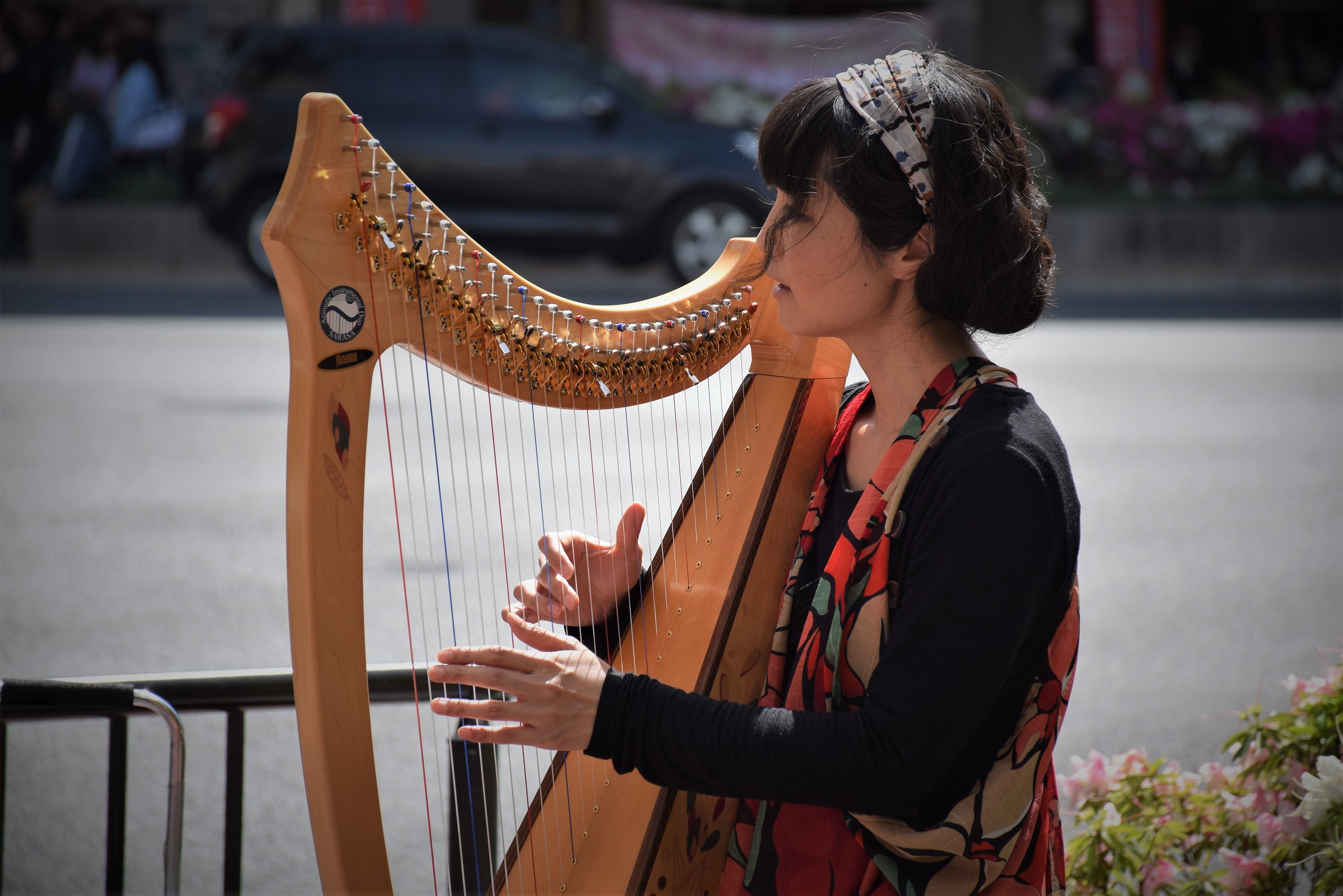 Detail Alat Musik Tradisional Chordophone Nomer 19