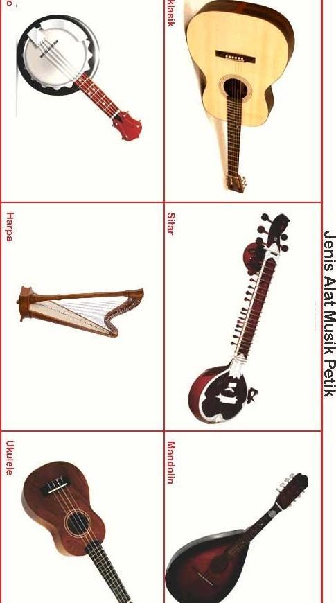 Detail Alat Musik Tradisional Chordophone Nomer 3