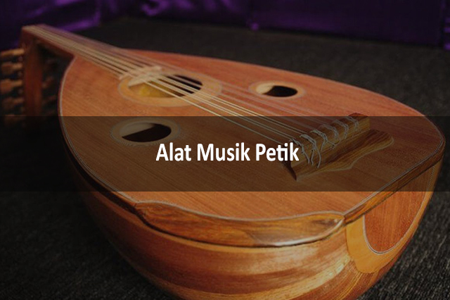 Detail Alat Musik Yang Di Petik Nomer 20