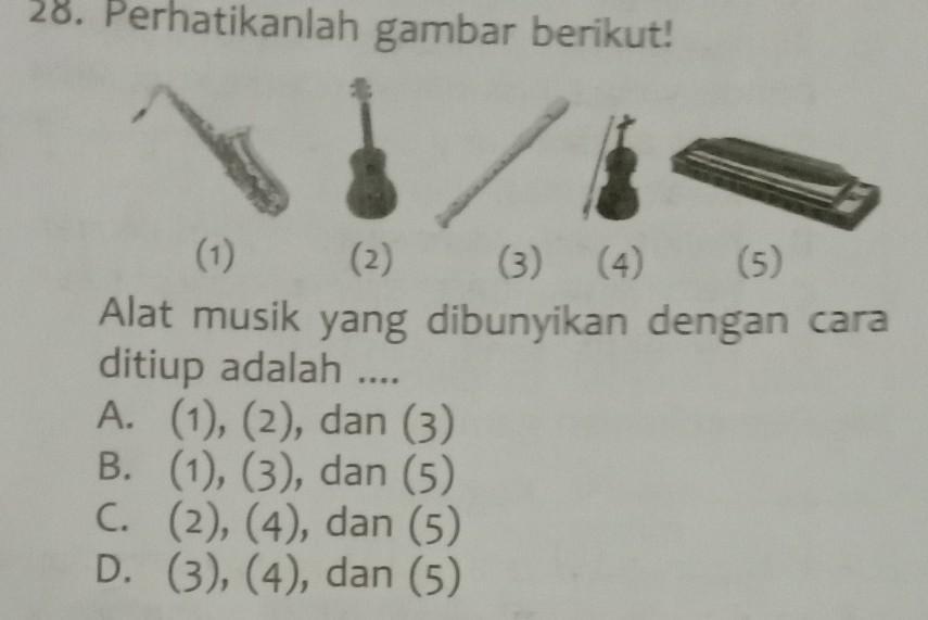 Detail Alat Musik Yang Ditiup Nomer 43