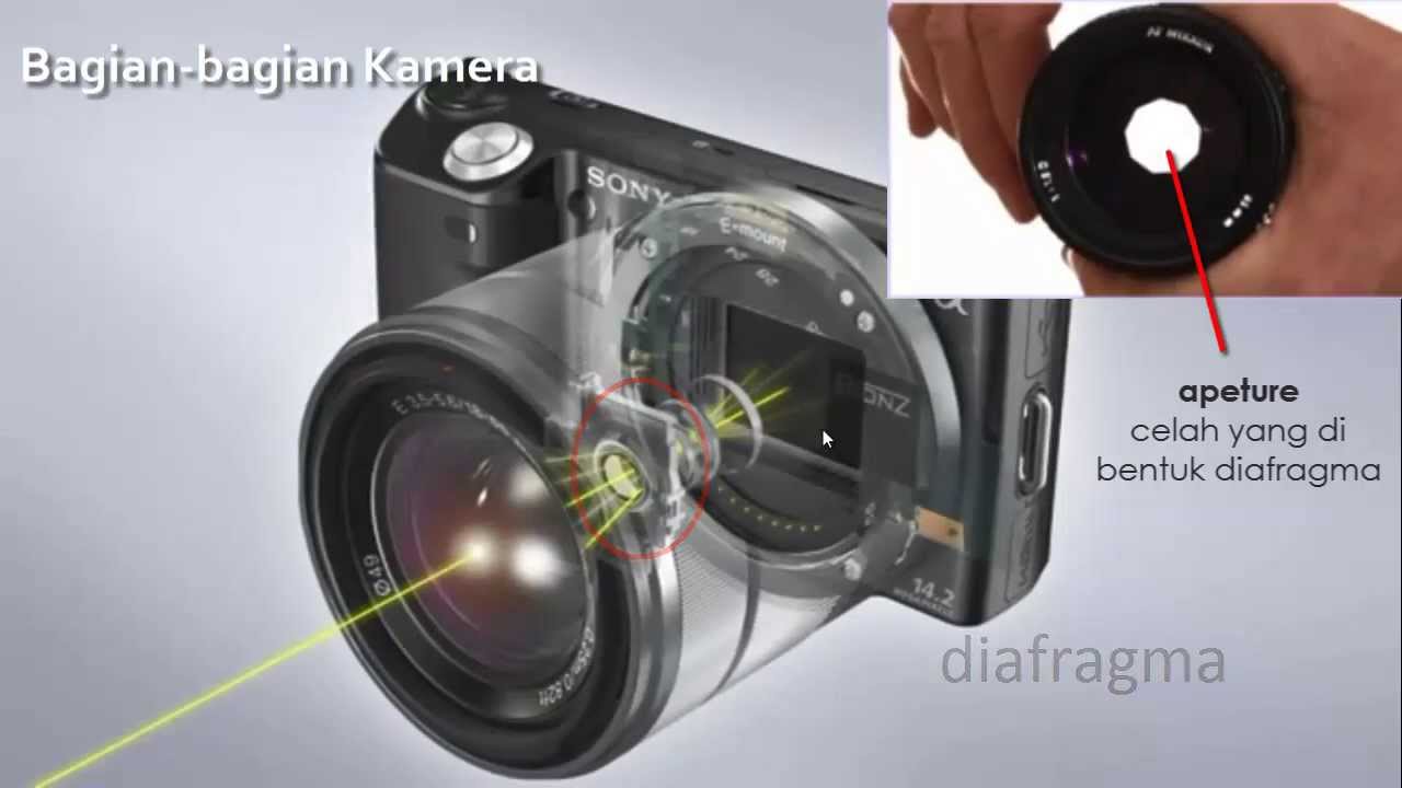 Detail Alat Optik Kamera Nomer 22