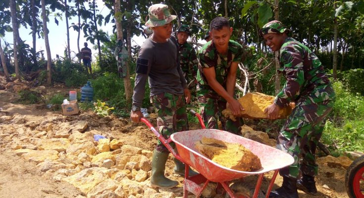 Detail Alat Pengangkut Pasir Nomer 15