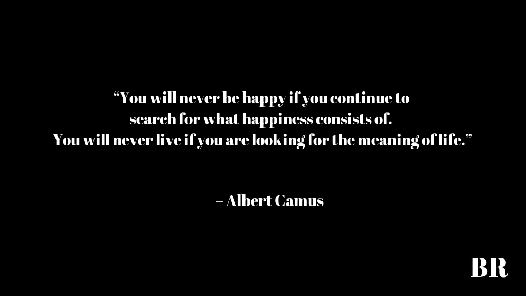 Detail Albert Camus Existentialism Quotes Nomer 42