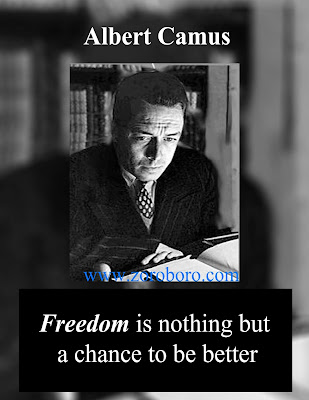 Detail Albert Camus Existentialism Quotes Nomer 51