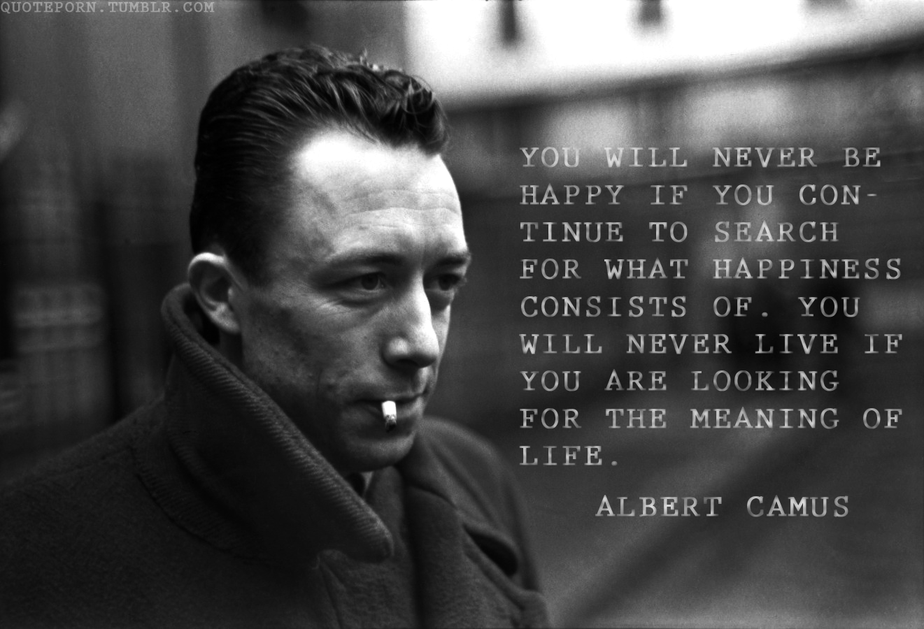 Detail Albert Camus Quotes On Life Nomer 12