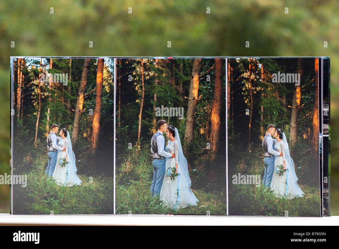 Detail Album Foto Wedding Nomer 51