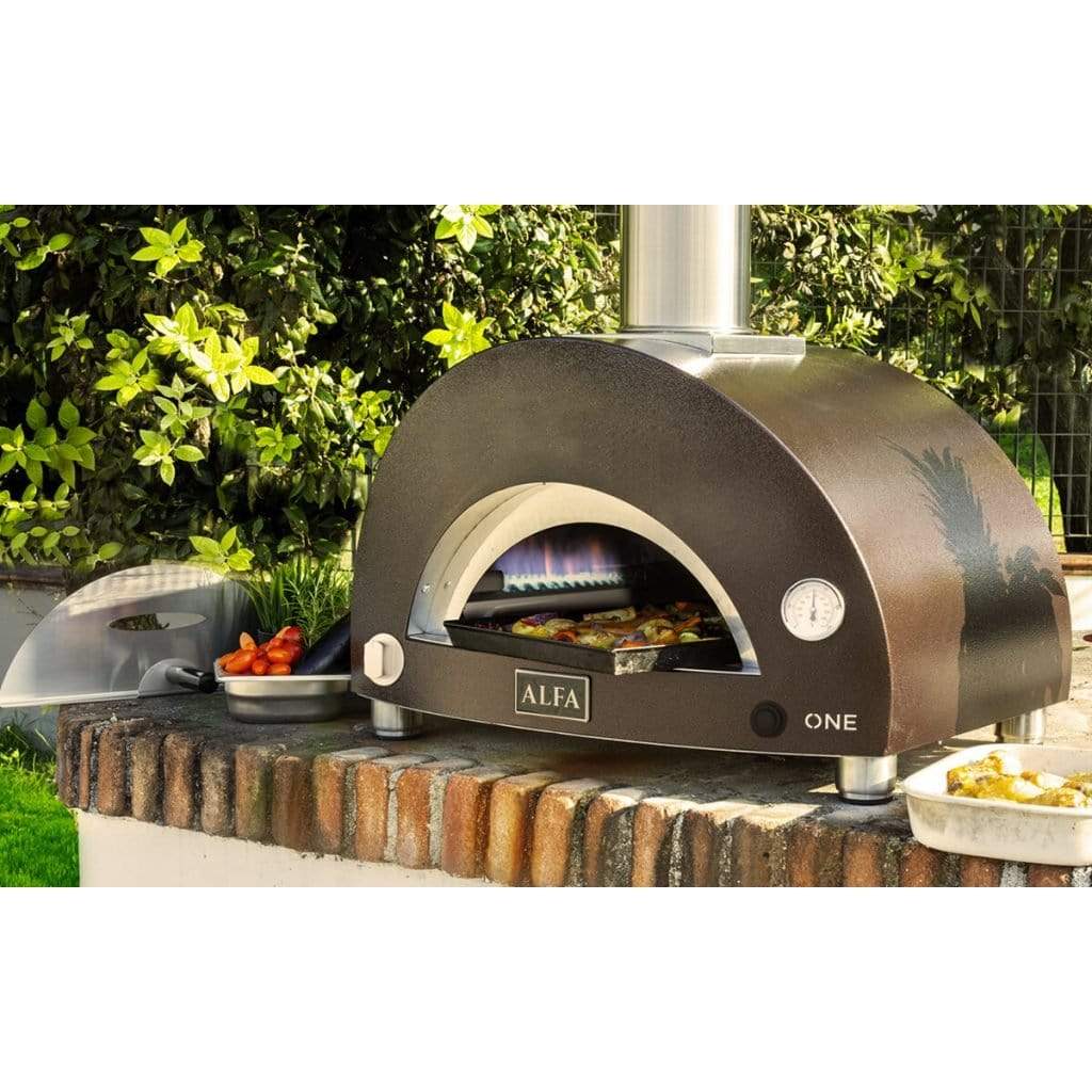 Detail Alfa Gas Pizza Oven Nomer 12